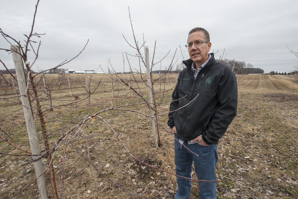 Man in apple orchard